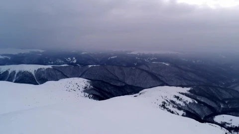 Stock Video Foggy Day In A Winter Environment Live Wallpaper For PC - Free Live Wallpaper