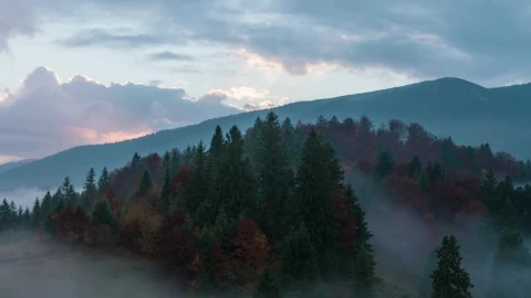 Stock Video Foggy Autumnal Sunrise In The Mountains Live Wallpaper For PC - Free Live Wallpaper