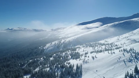 Stock Video Fog Covering A Beautiful Snowy Forest Live Wallpaper For PC - Free Live Wallpaper