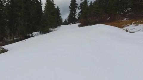 Stock Video Flying Through The Snowy Forest On A Cloudy Day Live Wallpaper For PC - Free Live Wallpaper