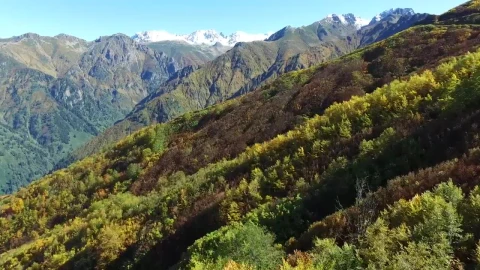 Stock Video Flying Through The Mountains Live Wallpaper For PC - Free Live Wallpaper
