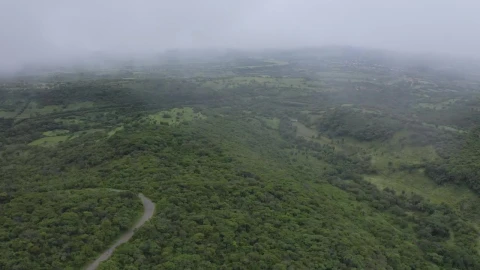 Stock Video Flying Through The Clouds Live Wallpaper For PC - Free Live Wallpaper