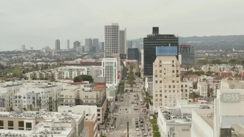 Stock Video Flying Through The Boulevard Of A Big City Live Wallpaper For PC - Free Live Wallpaper