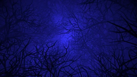 Stock Video Flying Through A Devilish Forest Live Wallpaper For PC - Free Live Wallpaper
