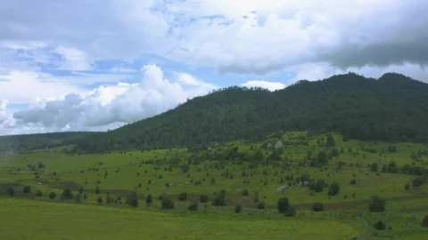 Stock Video Flying Over Tree Covered Mountains Live Wallpaper For PC - Free Live Wallpaper