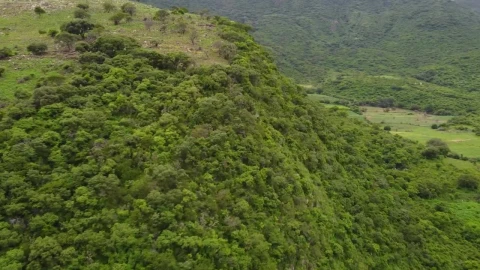 Stock Video Flying Over Tree Covered Hills Live Wallpaper For PC - Free Live Wallpaper