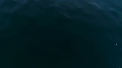 Stock Video Flying Over The Sea Revealing The Skyline At Sunset Live Wallpaper For PC - Free Live Wallpaper