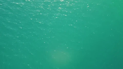 Stock Video Flying Over The Azure Blue Water Of A Beach Live Wallpaper For PC - Free Live Wallpaper