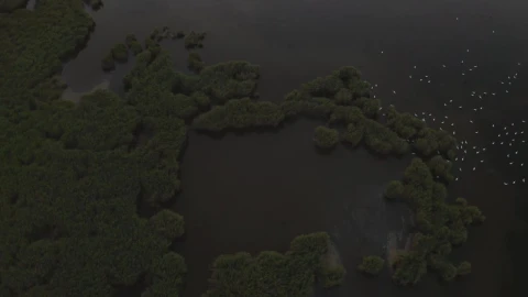 Stock Video Flying Over Flooded Fields Live Wallpaper For PC - Free Live Wallpaper