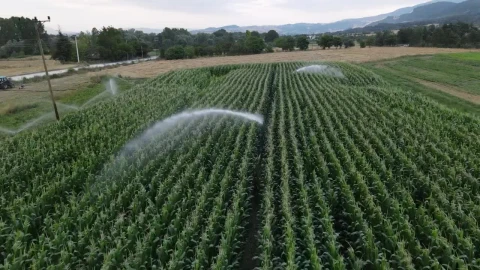 Stock Video Flying Over Fields Of Crops Being Watered Live Wallpaper For PC - Free Live Wallpaper