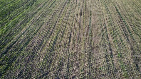 Stock Video Flying Over An Agriculture Field Texture Video Live Wallpaper For PC - Free Live Wallpaper