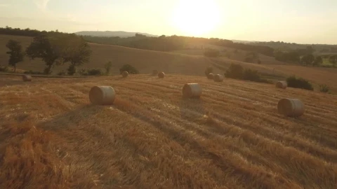 Stock Video Flying Over Agricultural Fields Live Wallpaper For PC - Free Live Wallpaper
