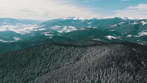 Stock Video Flying Over A Snowy Forest And Mountains Landscape Live Wallpaper For PC - Free Live Wallpaper