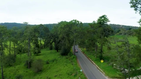 Stock Video Flying Over A Road That Crosses Between Nature Live Wallpaper For PC - Free Live Wallpaper