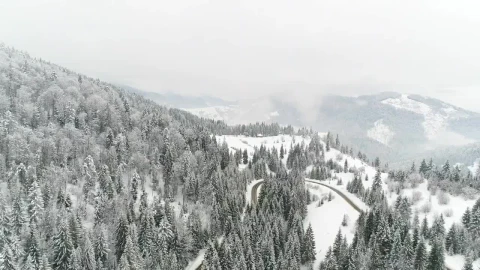 Stock Video Flying Over A Road In A Frozen Forest Live Wallpaper For PC - Free Live Wallpaper