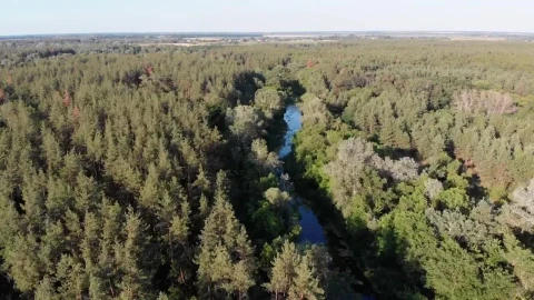 Stock Video Flying Over A River Running Through A Forest Live Wallpaper For PC - Free Live Wallpaper