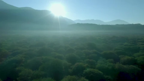 Stock Video Flying Over A Forest Between Mountains Live Wallpaper For PC - Free Live Wallpaper