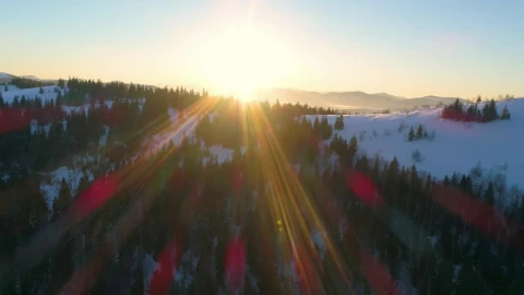 Stock Video Flying Over A Forest High Up In The Mountains Live Wallpaper For PC - Free Live Wallpaper