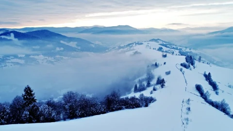 Stock Video Flying Over A Foggy Forest At A Cold Cloudy Day Live Wallpaper For PC - Free Live Wallpaper