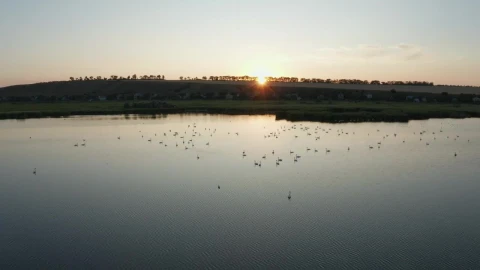 Stock Video Flying Over A Floodplain Live Wallpaper For PC - Free Live Wallpaper
