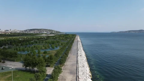Stock Video Flying Over A Coast With A Park On A Sunny Live Wallpaper For PC - Free Live Wallpaper