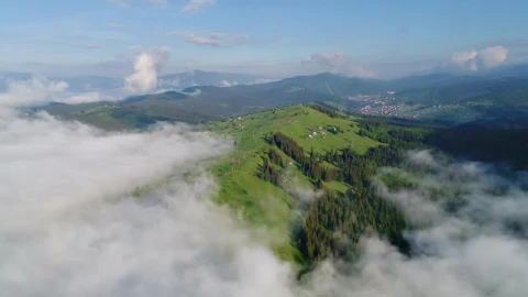 Stock Video Flying Over A Clouds Covered Forest Live Wallpaper For PC - Free Live Wallpaper