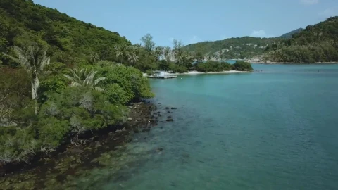 Stock Video Flying Over A Beautiful Tropical Landscape Live Wallpaper For PC - Free Live Wallpaper