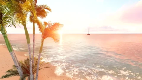 Stock Video Flying Over A Beach With A Palm Tree And A Live Wallpaper For PC - Free Live Wallpaper