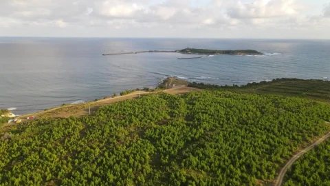 Stock Video Flying Off A Coast With A Little Island Live Wallpaper For PC - Free Live Wallpaper