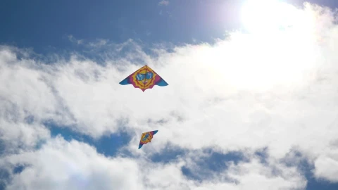 Stock Video Flying Kites In A City Park Live Wallpaper For PC - Free Live Wallpaper