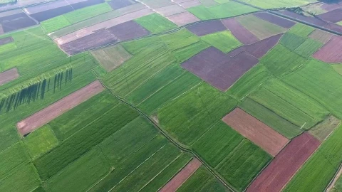 Stock Video Flying Above Agricultural Green Fields Live Wallpaper For PC - Free Live Wallpaper