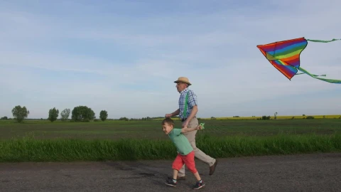 Stock Video Flying A Rainbow Kite Live Wallpaper For PC - Free Live Wallpaper