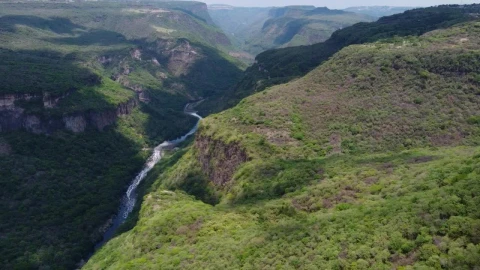 Stock Video Fly Over A Huge Canyon Covered In Vegetation Live Wallpaper For PC - Free Live Wallpaper