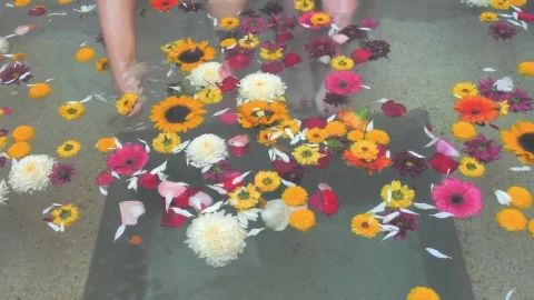 Stock Video Flowers In A Tub Live Wallpaper For PC - Free Live Wallpaper
