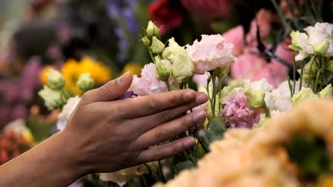 Stock Video Florist Checking Flowers In Her Store Live Wallpaper For PC - Free Live Wallpaper