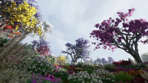 Stock Video Floral Garden Full Of Flowers Of Different Colors Live Wallpaper For PC - Free Live Wallpaper