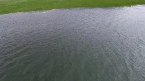 Stock Video Flood In The Agricultural Field Live Wallpaper For PC - Free Live Wallpaper