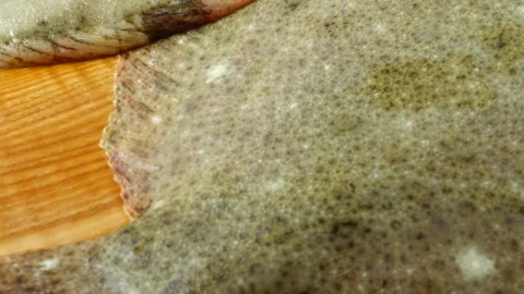 Stock Video Flatfishes On A Cook Board Live Wallpaper For PC - Free Live Wallpaper