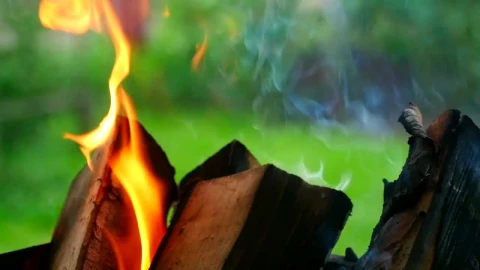 Stock Video Flames Burning Wood Chunks Live Wallpaper For PC - Free Live Wallpaper