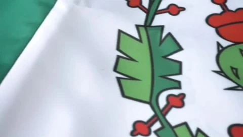 Stock Video Flag Of Mexico In A Close Up View Live Wallpaper For PC - Free Live Wallpaper