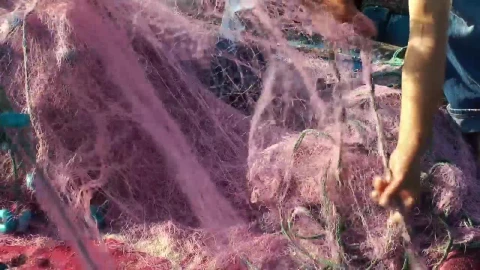 Stock Video Fishing Workers Pull Out The Fishing Net Live Wallpaper For PC - Free Live Wallpaper