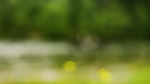Stock Video Fishing Together Live Wallpaper For PC - Free Live Wallpaper