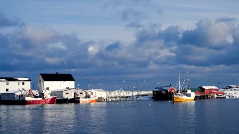 Stock Video Fishing Ships On The Water And Town Houses Live Wallpaper For PC - Free Live Wallpaper
