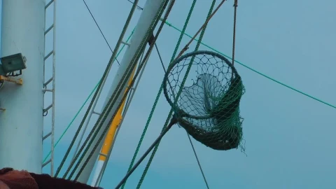 Stock Video Fishing Net On An Anchored Boat Live Wallpaper For PC - Free Live Wallpaper