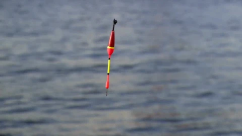 Stock Video Fishing Hook Above The Water Live Wallpaper For PC - Free Live Wallpaper