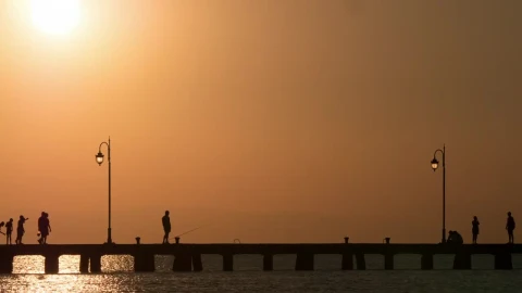 Stock Video Fishing From A Pier At Sunset Live Wallpaper For PC - Free Live Wallpaper