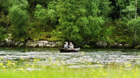 Stock Video Fishing After The Rain Live Wallpaper For PC - Free Live Wallpaper