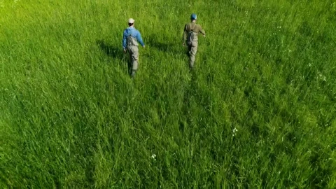 Stock Video Fishermen Walking On Green High Grass Live Wallpaper For PC - Free Live Wallpaper