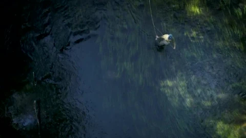 Stock Video Fisherman On The River Live Wallpaper For PC - Free Live Wallpaper