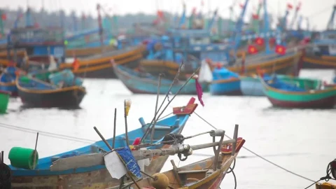 Stock Video Fisher Boats Move With The Tide Live Wallpaper For PC - Free Live Wallpaper